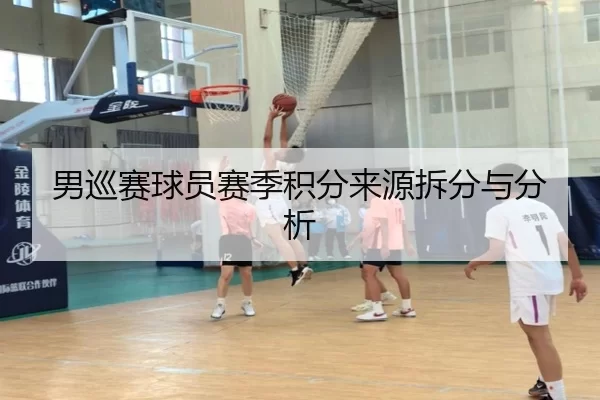男巡赛球员赛季积分来源拆分与分析